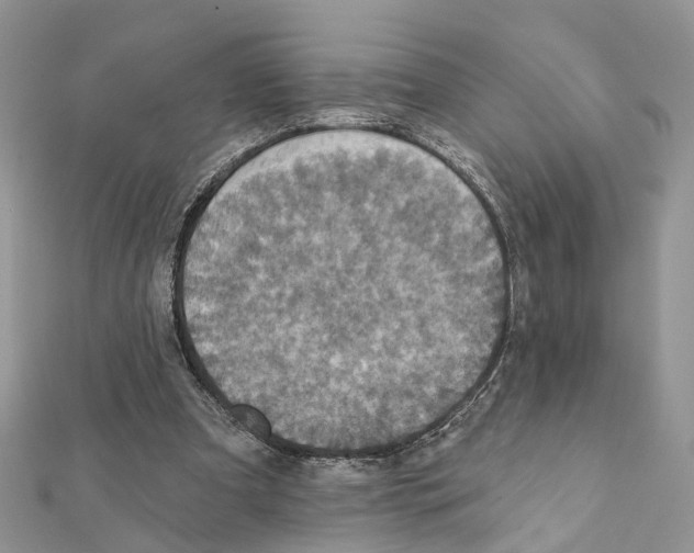 X0000111360297200908211302