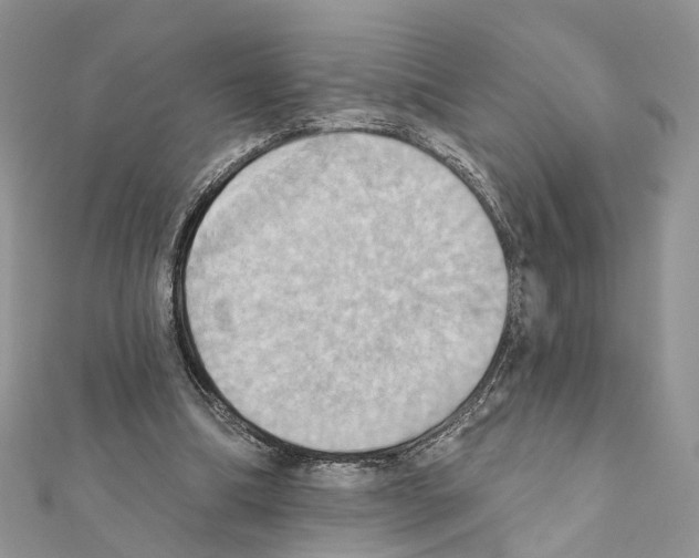 X0000111360298200908211302