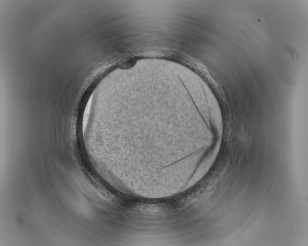 X0000111360299200908211302