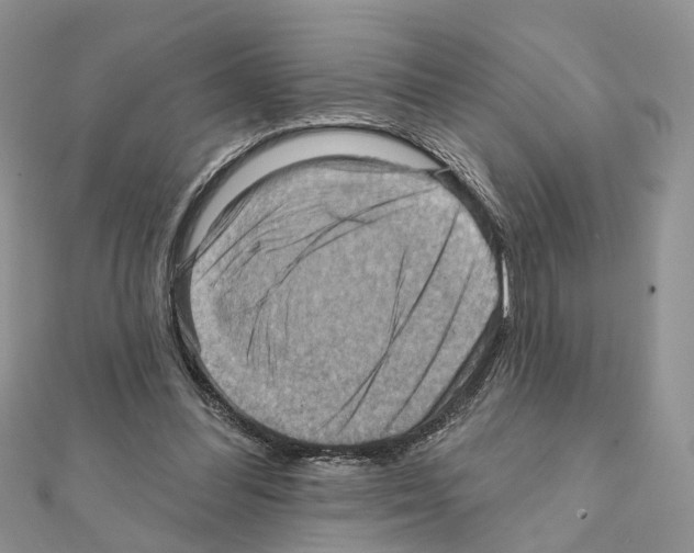 X0000111360300200908211302
