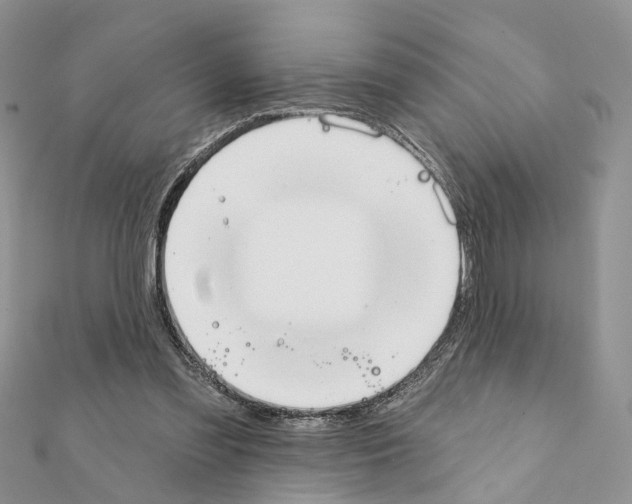 X0000111360301200908211302
