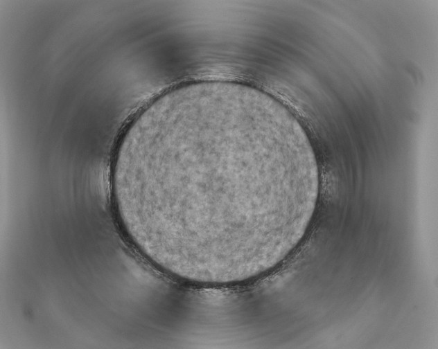 X0000111360302200908211302