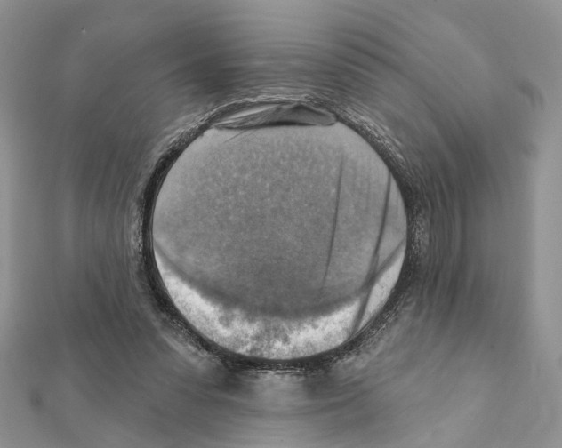 X0000111360303200908211302