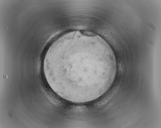 X0000111360304200908211302