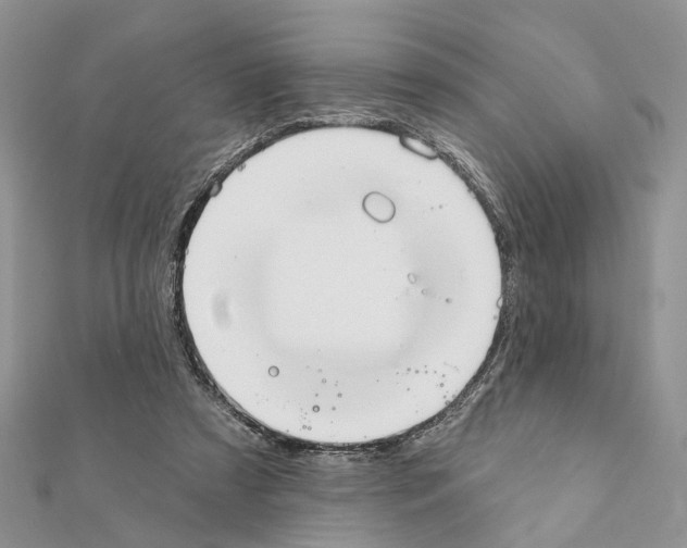 X0000111360305200908211302