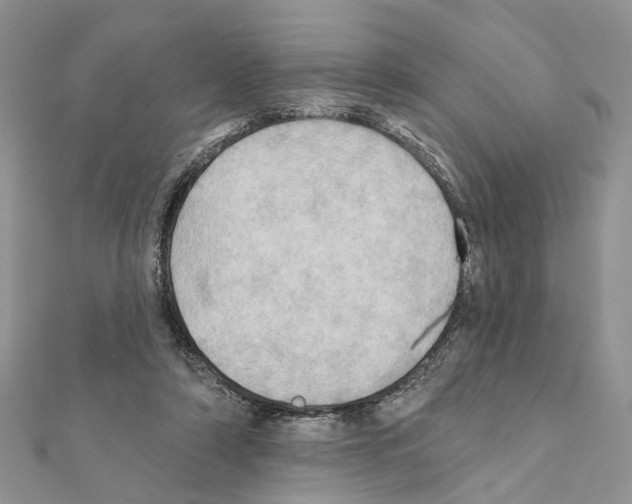 X0000111360306200908211302