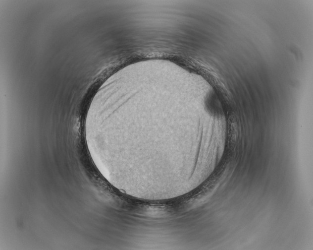 X0000111360308200908211302