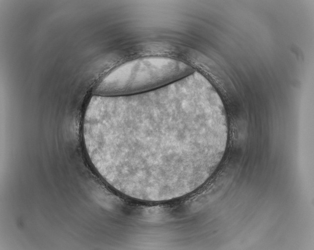 X0000111360309200908211302
