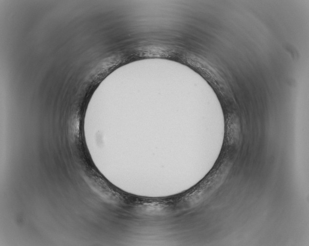 X0000111360310200908211302