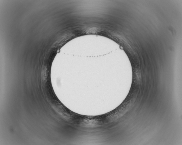 X0000111360311200908211302