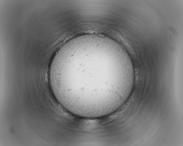 X0000111360313200908211302