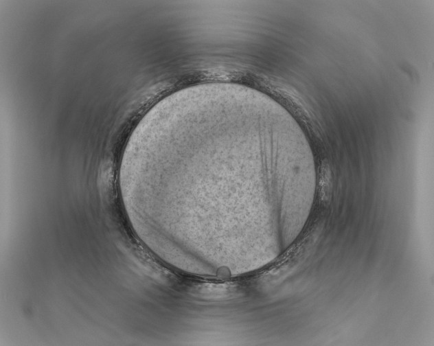 X0000111360314200908211302
