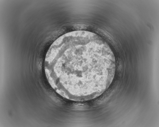 X0000111360315200908211302
