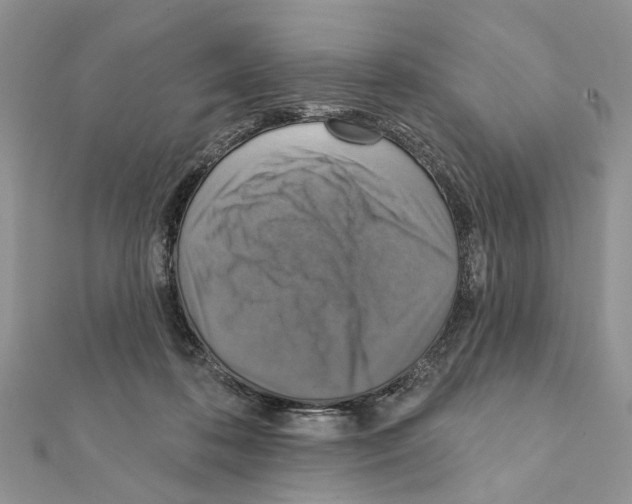 X0000111360316200908211302