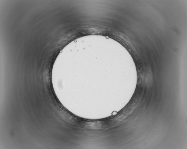 X0000111360317200908211302