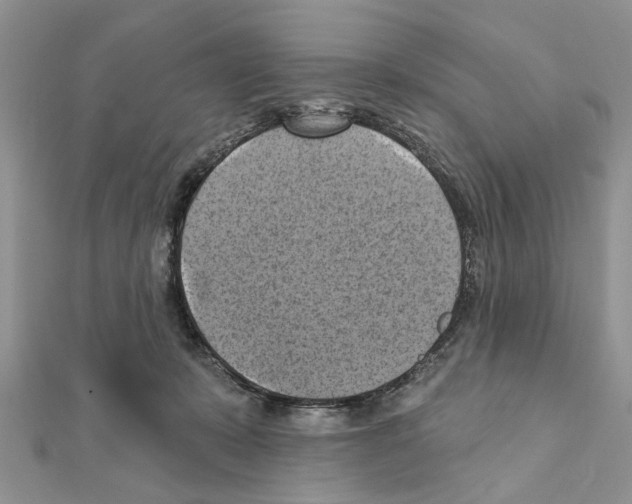 X0000111360319200908211302