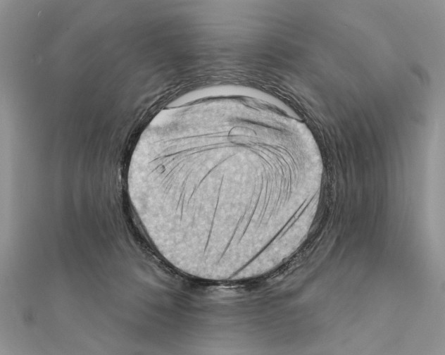 X0000111360320200908211302