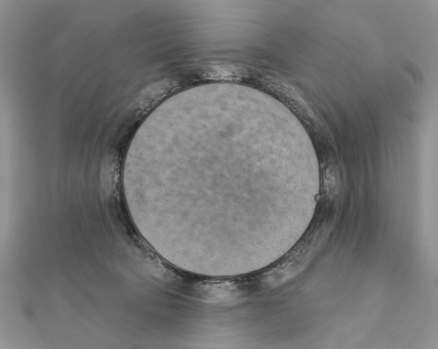 X0000111360322200908211302