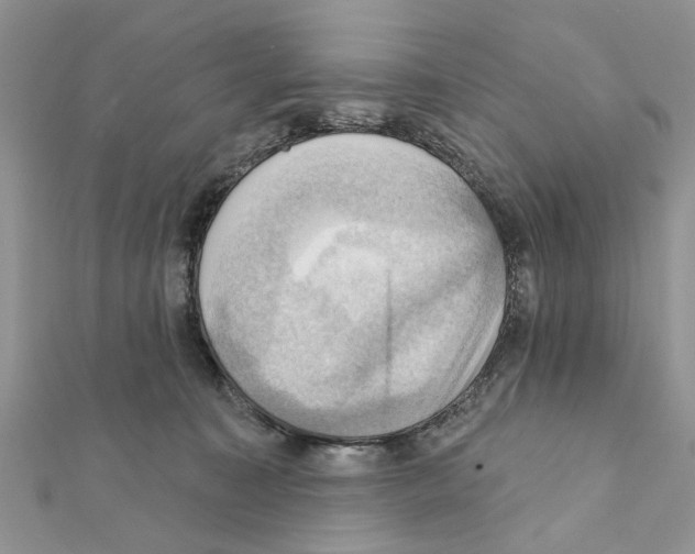X0000111360323200908211302