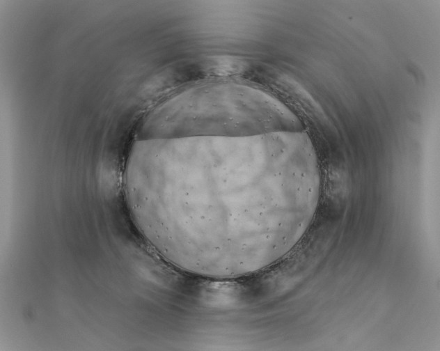 X0000111360324200908211302