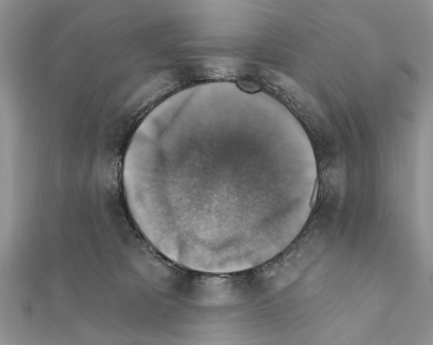X0000111360325200908211302