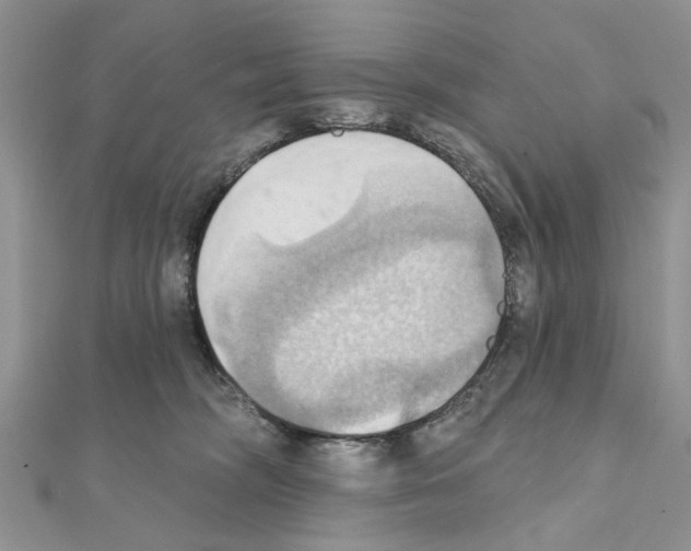 X0000111360326200908211302