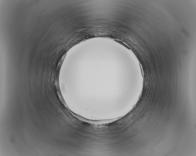 X0000111360327200908211302