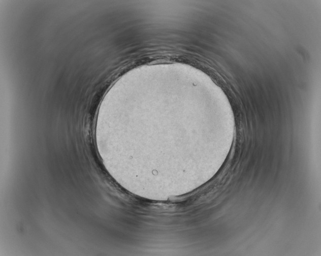 X0000111360328200908211302