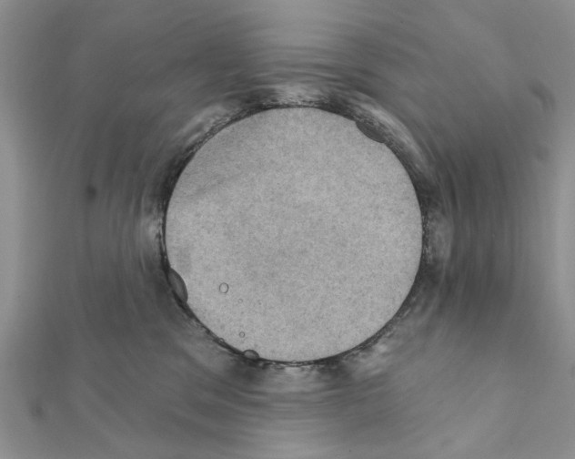 X0000111360329200908211302