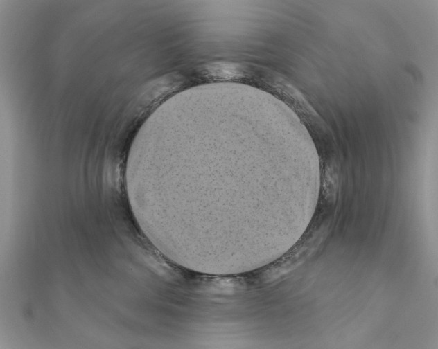 X0000111360330200908211302