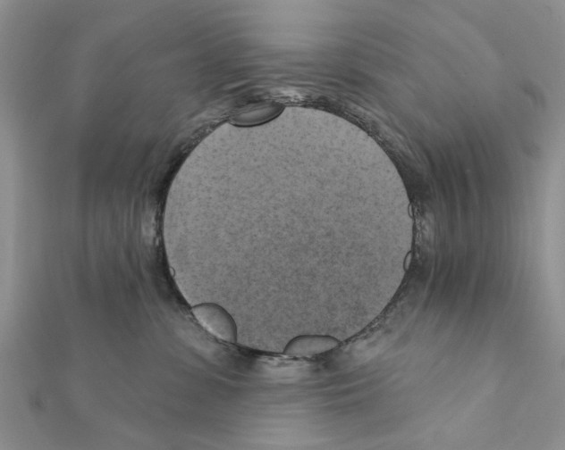 X0000111360331200908211302