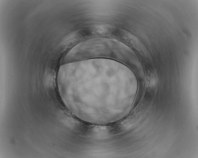 X0000111360332200908211302