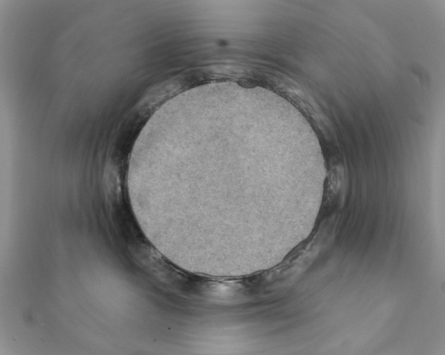 X0000111360333200908211302