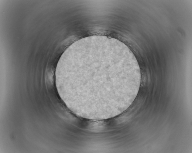 X0000111360334200908211302