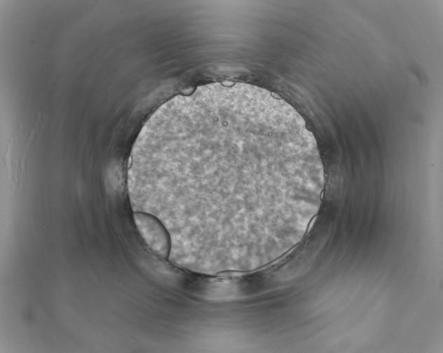 X0000111360335200908211302