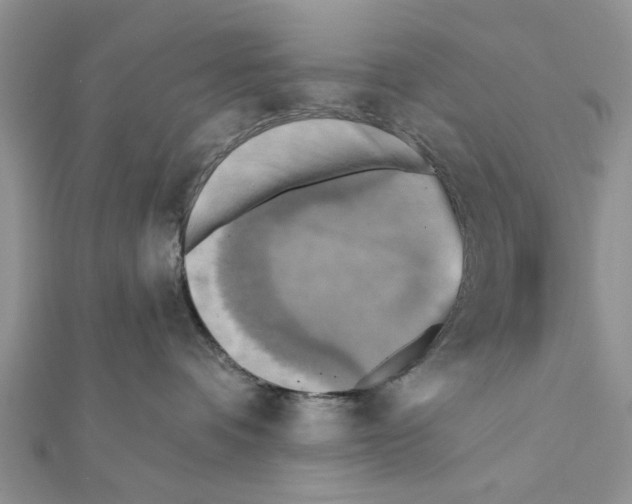 X0000111360336200908211302