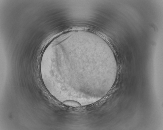 X0000111360337200908211301