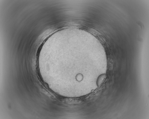 X0000111360338200908211301