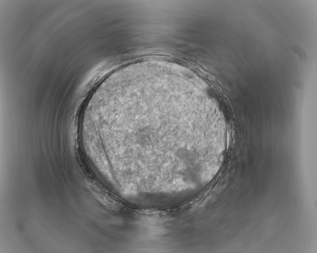 X0000111360339200908211301