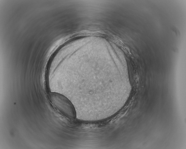 X0000111360340200908211301