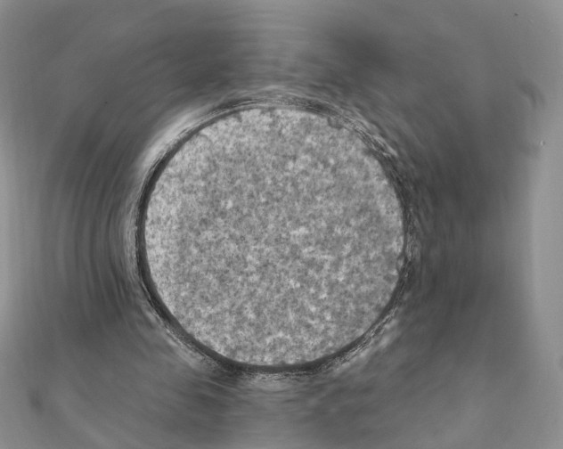 X0000111360341200908211301