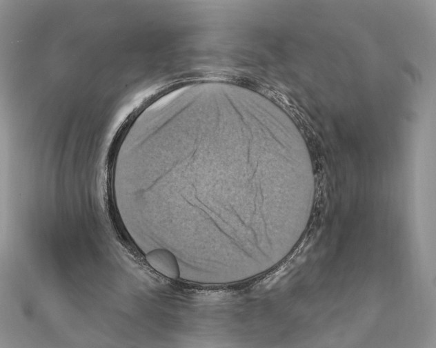 X0000111360342200908211301