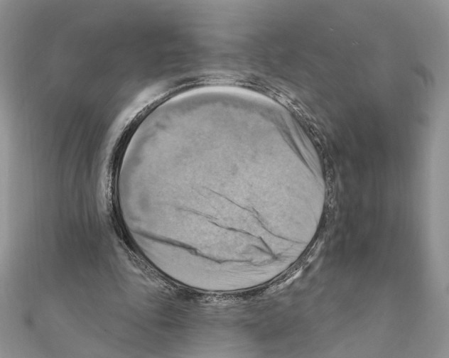 X0000111360343200908211301
