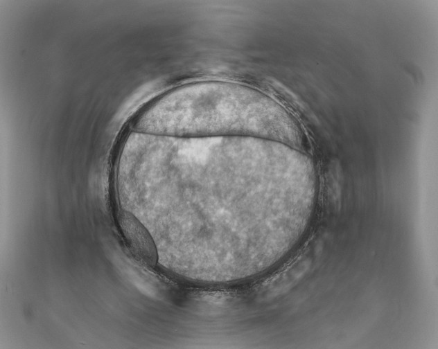 X0000111360344200908211301