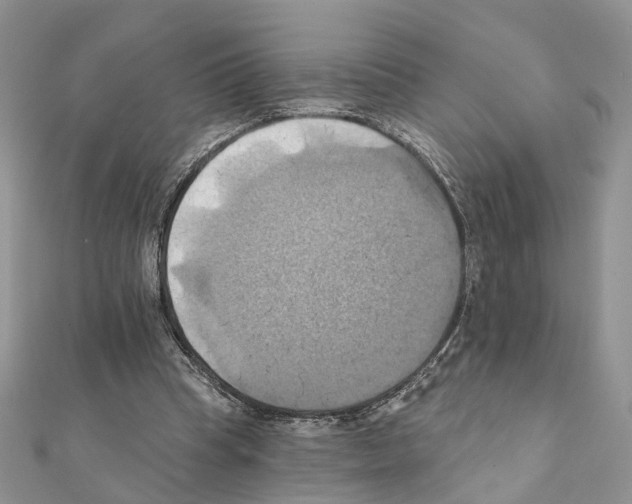 X0000111360345200908211301