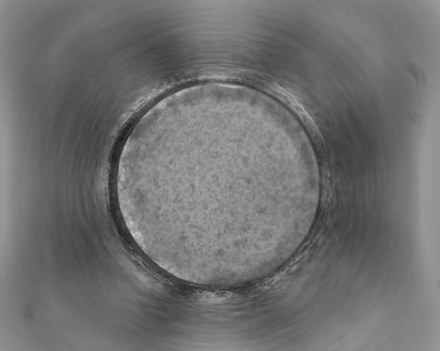 X0000111360346200908211301