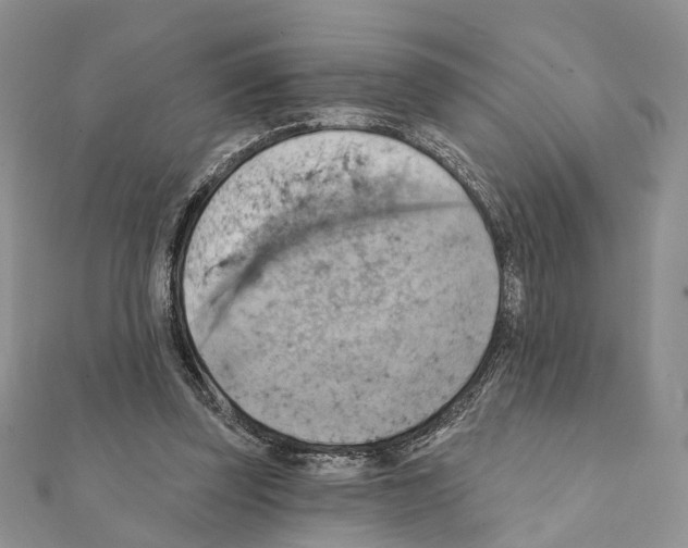 X0000111360347200908211301