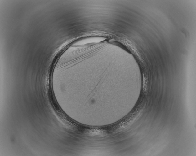X0000111360348200908211301