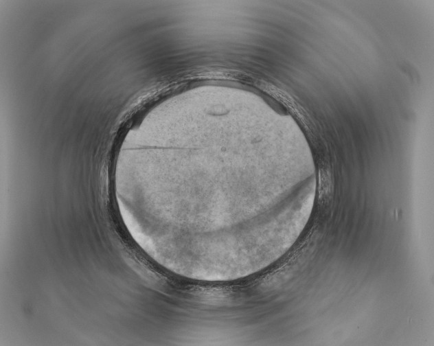 X0000111360349200908211301