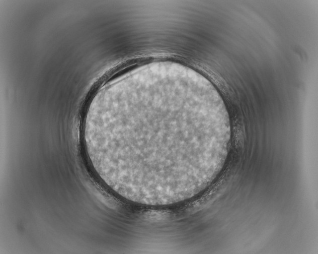 X0000111360350200908211301